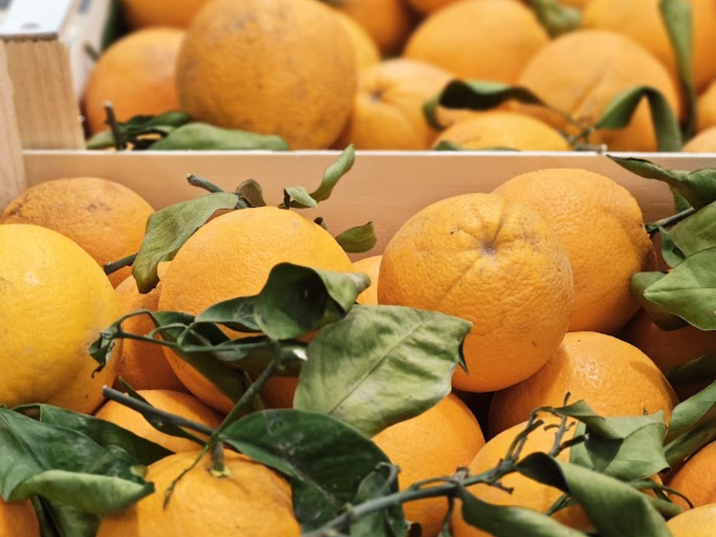 Zumo de naranja natural recién exprimido 250 ml